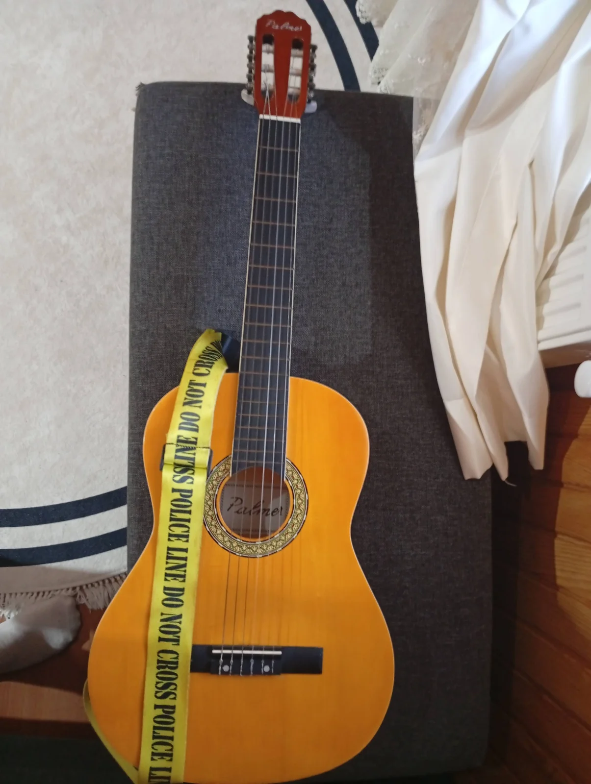 Palmer Gitar